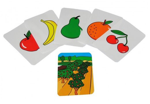 Targetes de Família: Aliments