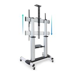 TooQ Partenó 2,54 m (100") Plata