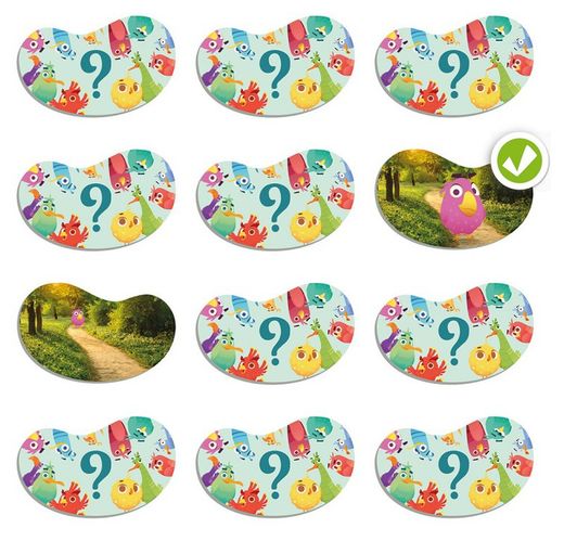 Topology-Birds. Orientación espacial