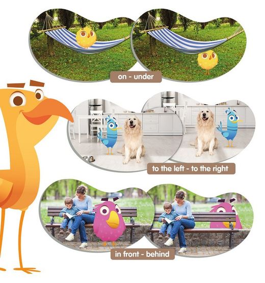 Topology-Birds. Orientación espacial